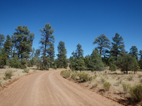 GDMBR: Northbound on CR-42.